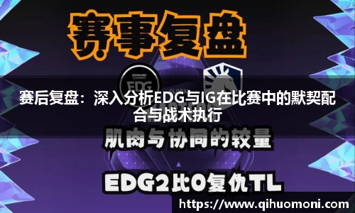 3377体育官网登录