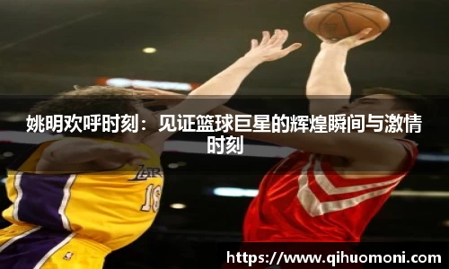 姚明欢呼时刻：见证篮球巨星的辉煌瞬间与激情时刻