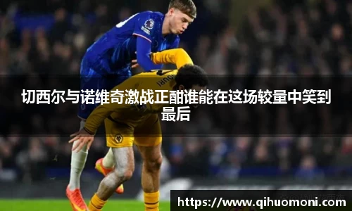 切西尔与诺维奇激战正酣谁能在这场较量中笑到最后